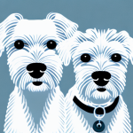 A white dog with no tear stains around its eyes